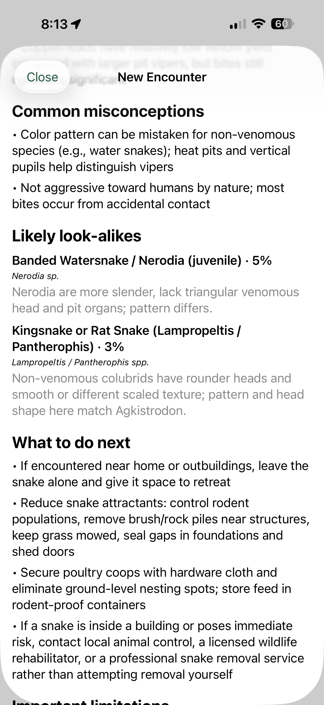 SnekQ screenshot