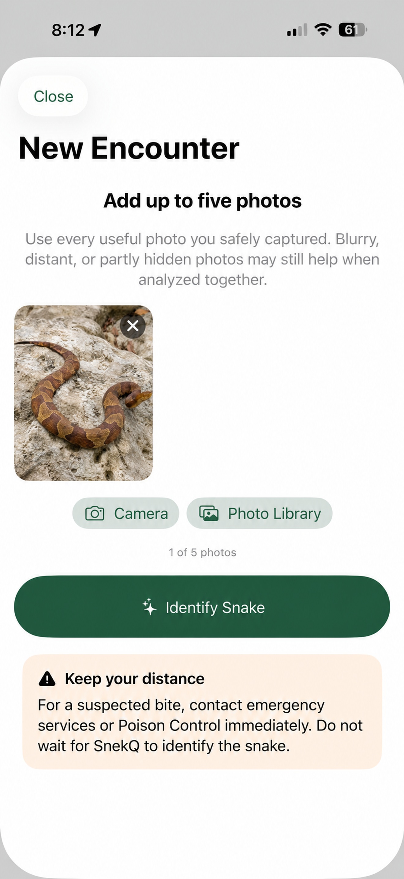 SnekQ screenshot